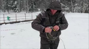 Форель ловится до запуска и после. Клёвое место, Лосиный остров, нижний водоём.