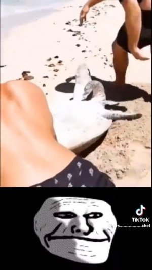 559599595959595959595995599595959595959595995959595959ОШИБКА_567НЕИЗВЕСНОЕ НАЗВАНИЕ