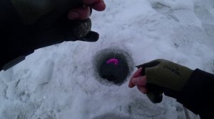 Рыбалка по форели продолжается 2026