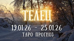 ТЕЛЕЦ ♉ таро прогноз на неделю 19.01.26 - 25.01.26