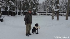 Арчик. Положительный сдвиг в апортировке