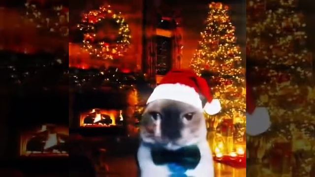 с прошедшем смотреть онлайн