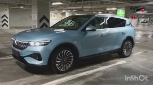 Nissan leaf ZE1 на Voyah Free 1я часть