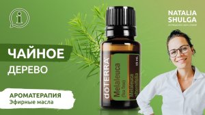 ЧАЙНОЕ ДЕРЕВО - лучший натуральный антисептик | Эфирное масло