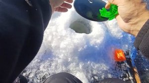 Зимняя рыбалка на Аргуни.