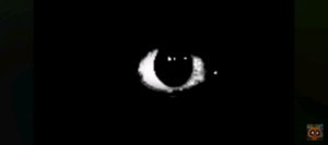 Ну чо узнаете