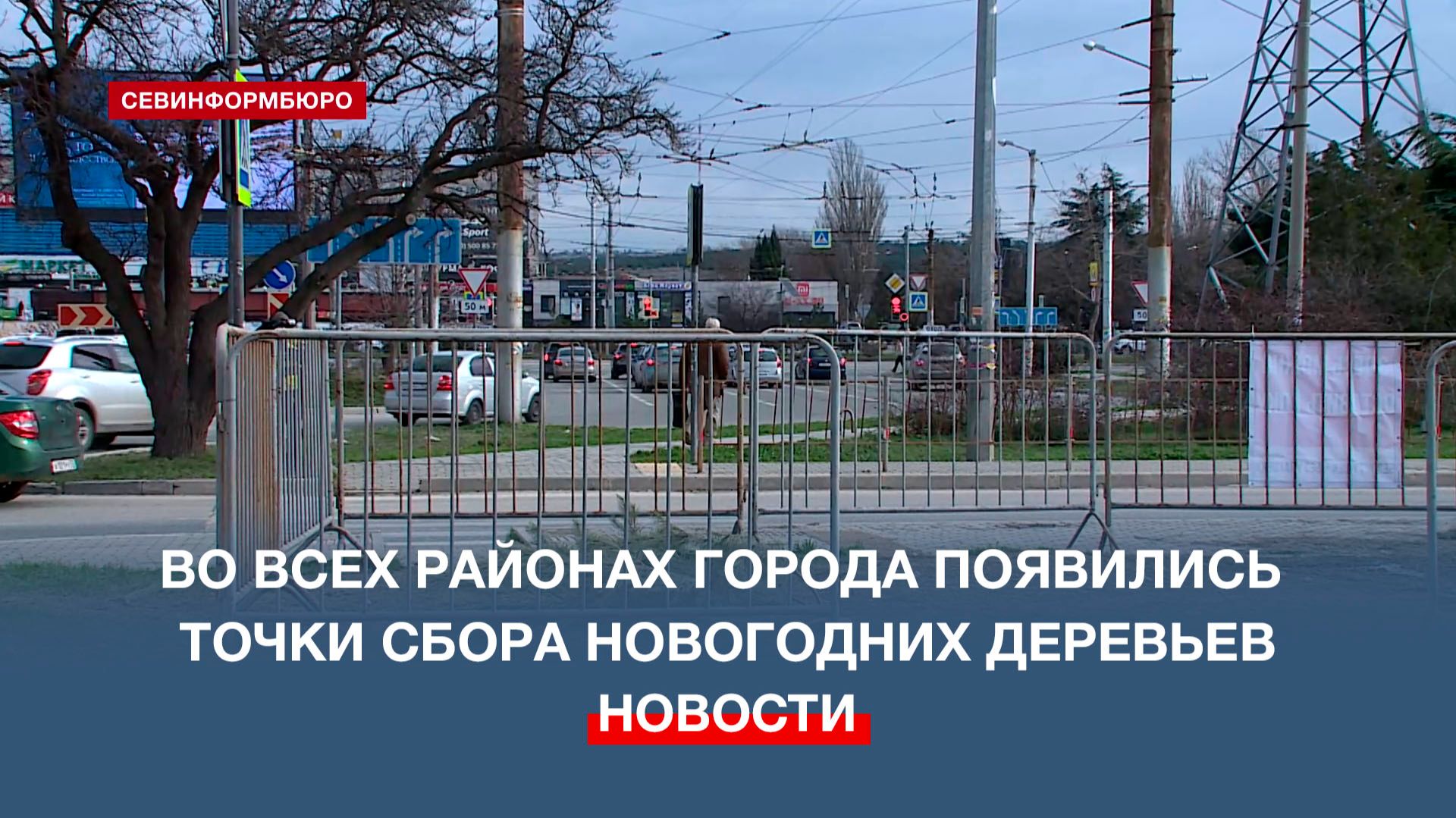 Севастополе работают 10 точек для сбора и дальнейшей утилизации новогодних елей смотреть онлайн