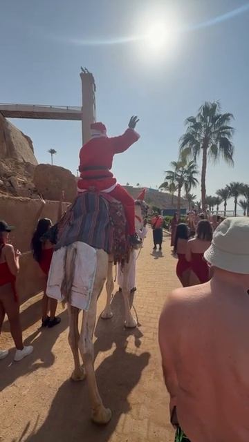 Дед Мороз и Снегурочки смотреть онлайн