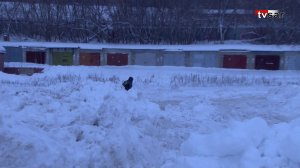 В Саратове на месте непостроенного отеля на набережной устроили свалку снега