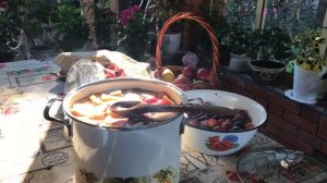 Домашнее вино из слив / самый простой рецепт