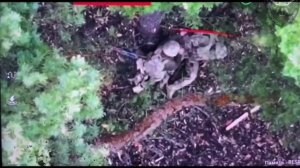 ⚡️СВО 18+ Давай с тобой сыграем