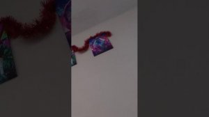 выполняю квесты со свинкой