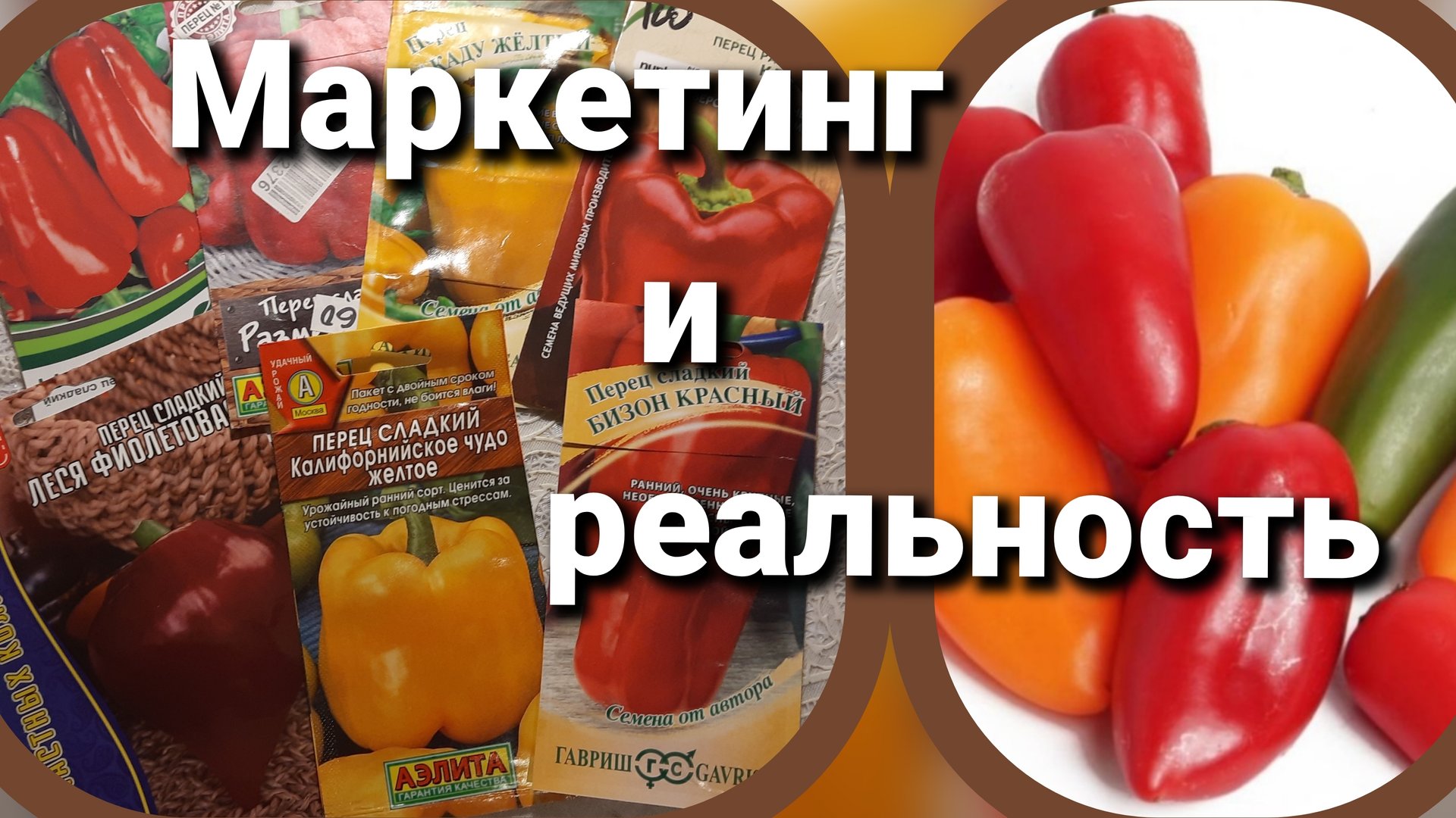 Перец. Ожидания и реальность. Критерии выбора перца на 2026 год смотреть онлайн
