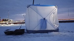 Зимняя рыбалка. Эхолот показал — собака обрадовалась — рыба попалась!