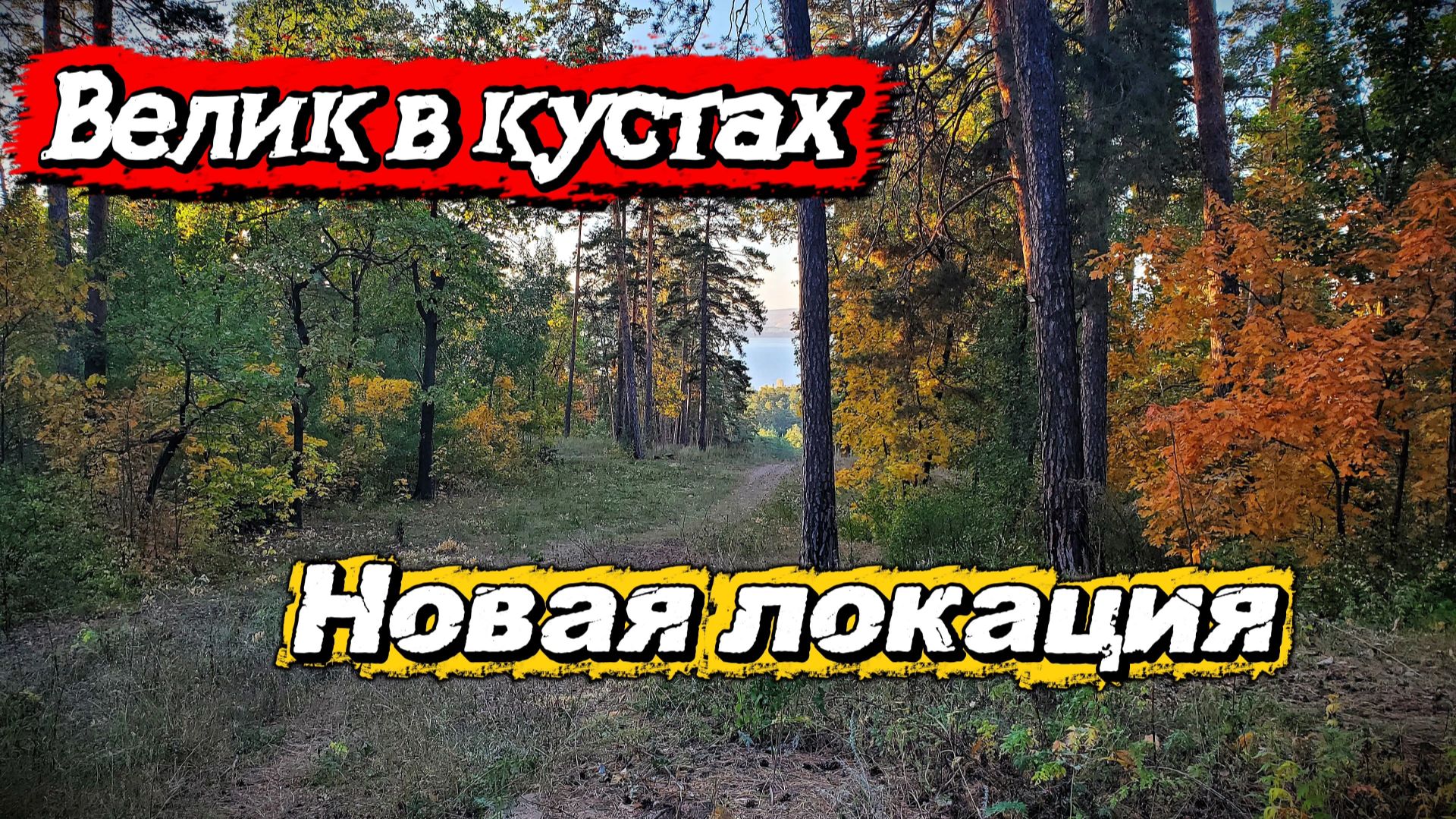 Нашёл спрятанный велосипед в кустах. Изучаю новую локацию для поиска с металлоискателем. Тольятти