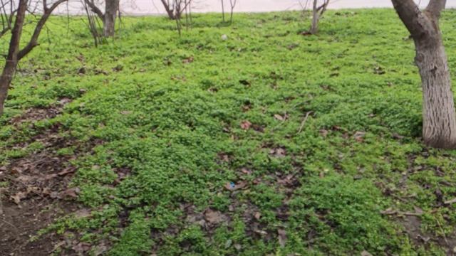 Один из дней города Евпатории | 5 февраля 2021 г | Крым | ХАН БАТОН XAH 6ATOH / VID_20210205_140455 смотреть онлайн