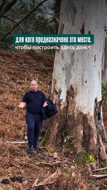 Affinity Созидание - стань частью эко-среды для жизни и отдыха в Абхазии