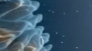 Мой сон рисует мне картину