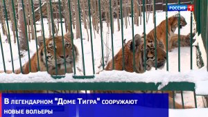 Новые вольеры для новых кошек: в «Дом Тигра» привезут хищников, пострадавших от браконьеров