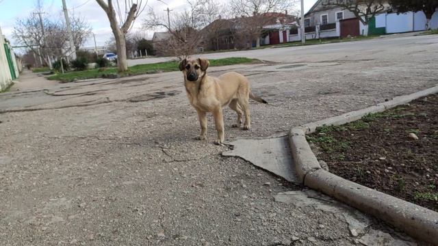 Один из дней города Евпатории | 5 февраля 2021 г | Крым | ХАН БАТОН XAH 6ATOH / VID_20210205_141353 смотреть онлайн