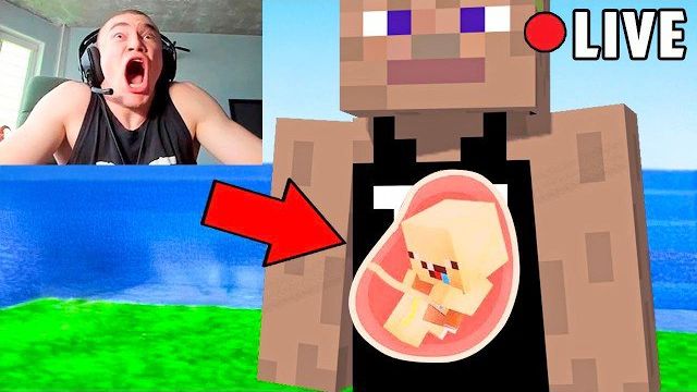 Я затроллил Стримера МОДОМ НА БЕРЕМЕННОСТЬ в Майнкрафт... смотреть онлайн