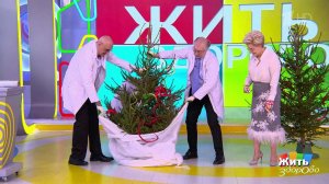 Уборка елки: удача по правилам. Жить здорово! Фрагмент выпуска от 14.01.2026