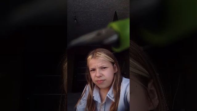 Делаю уроки чееек смотреть онлайн