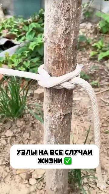 Узлы на все случаи смотреть онлайн