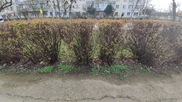 Один из дней города Евпатории | 5 февраля 2021 г | Крым | ХАН БАТОН XAH 6ATOH / VID_20210205_140919 смотреть онлайн