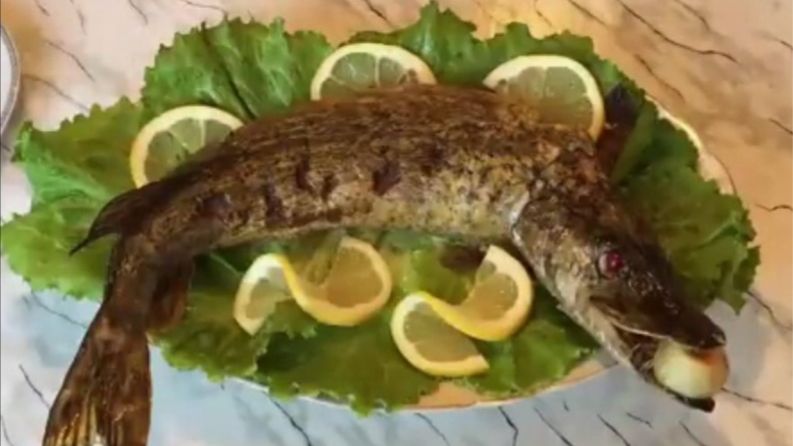 Фаршированная Щука