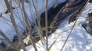 САМАЯ УЛОВИСТАЯ НАЖИВКА НА ПЛОТВУ!!!!!