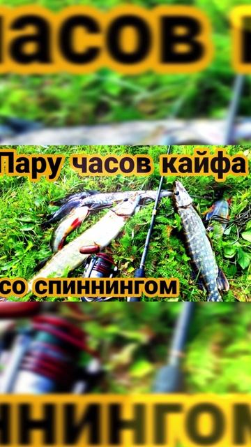 Рыбалка-кайф смотреть онлайн