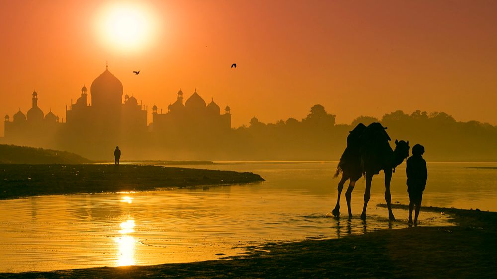 Индия и ее природа в качестве 4k смотреть онлайн