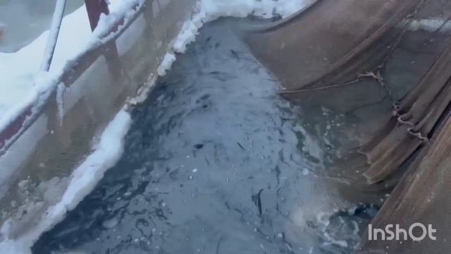 1000138563.mp4 смотреть онлайн