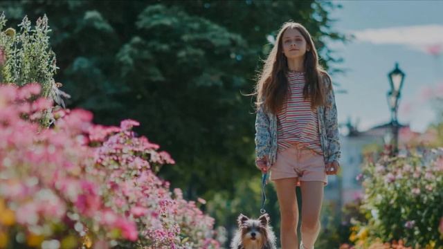 video_243 Уставший Ангел