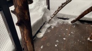 Новости от белок.Средсво от борьбы с  паразитами