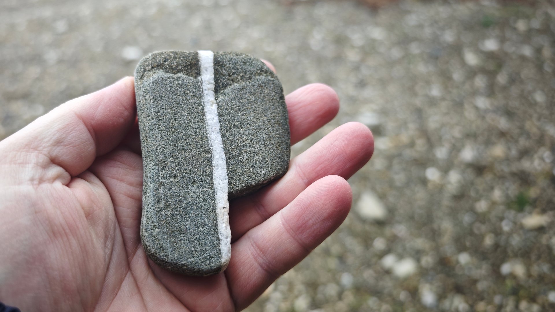 МАНТРЫ ПОЕМ - ЙОГА КРИШНА РЕТРИТ ТУР смотреть онлайн