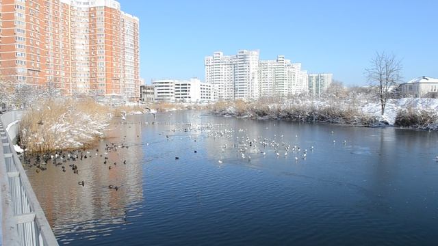 14=01=2026 КМР (3) КРАСНОДАР. КАРАСУН. смотреть онлайн