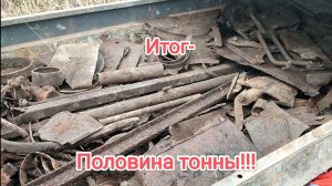 Семейный металлокоп поздней осенью,!!!