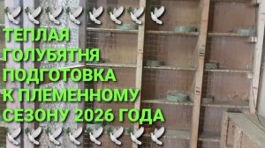 🕊🕊🕊 Теплая голубятня. Подготовка к племенному сезону 2026 года.