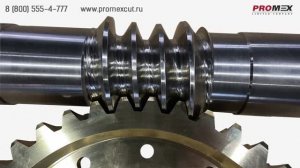 Глобоидная червячная передача