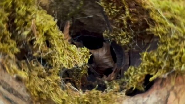 Dima Gerber - Был🎧   (Слова мои, музыка нейросеть )