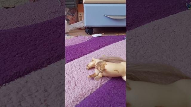 обзор на всех лошадок в конюшне смотреть онлайн
