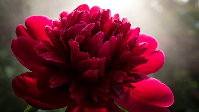 🪐 ХИТ: Screen Porch Nights от Neyrod272 — ночи на веранде, где время течёт иначе. 🌙🎶