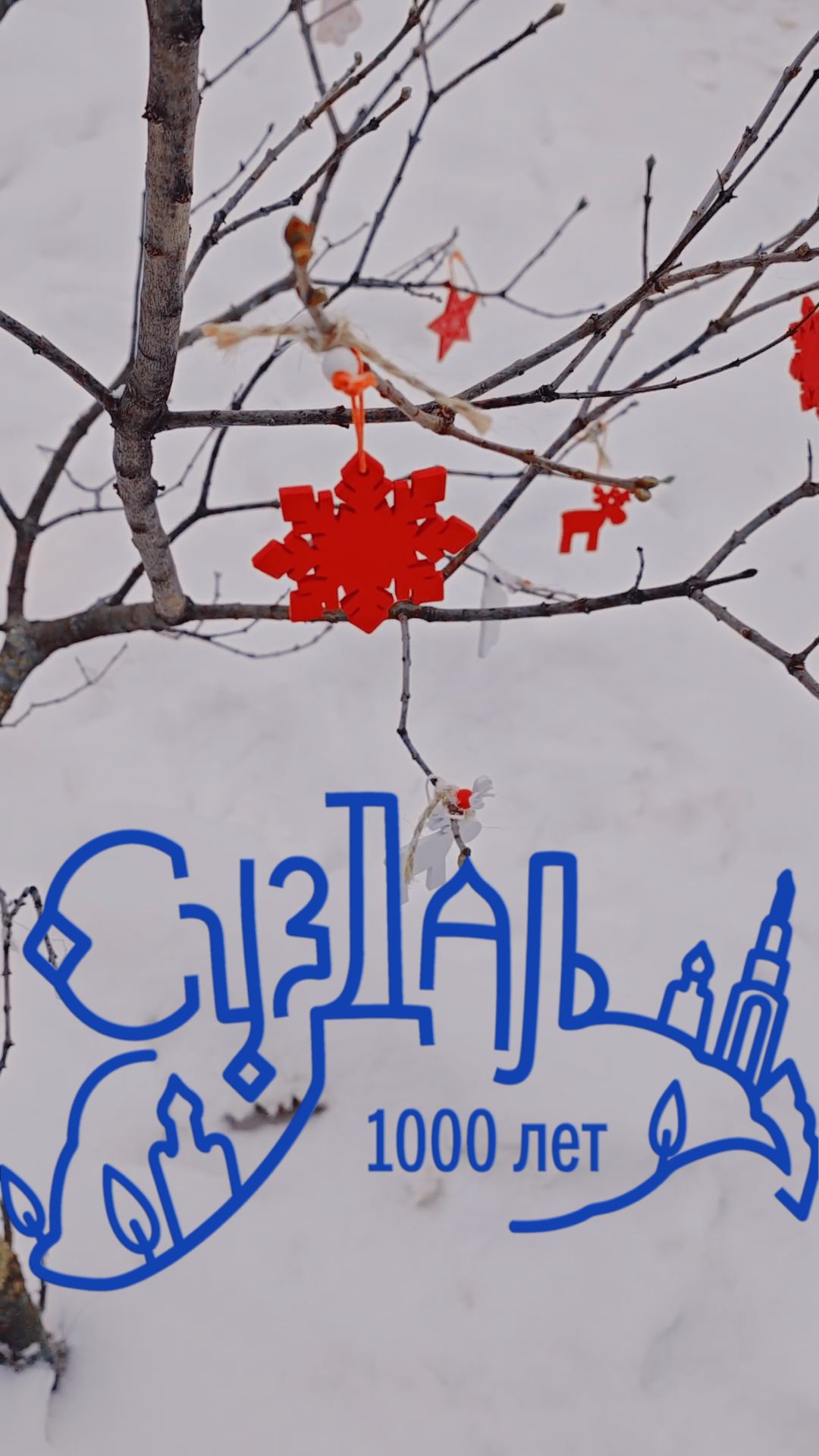 Зачем ехать в Суздаль зимой? Смотри 😍🎄