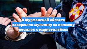 В Мурманской области задержали мужчину за подмену посылок с маркетплейсов