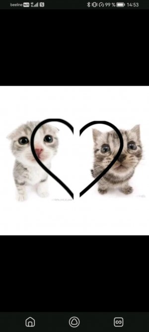 что я нарисовала