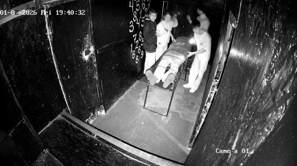 Квест2026 спб