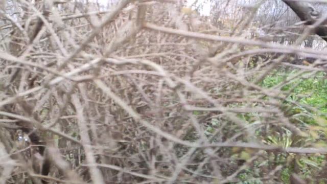 Один из дней города Евпатории | 5 февраля 2021 г | Крым | ХАН БАТОН XAH 6ATOH / VID_20210205_140414 смотреть онлайн