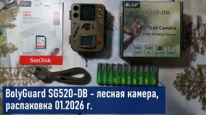Распаковка фотоловушки BolyGuard SG520-DB - лесная камера (янв. 2026 г.)
